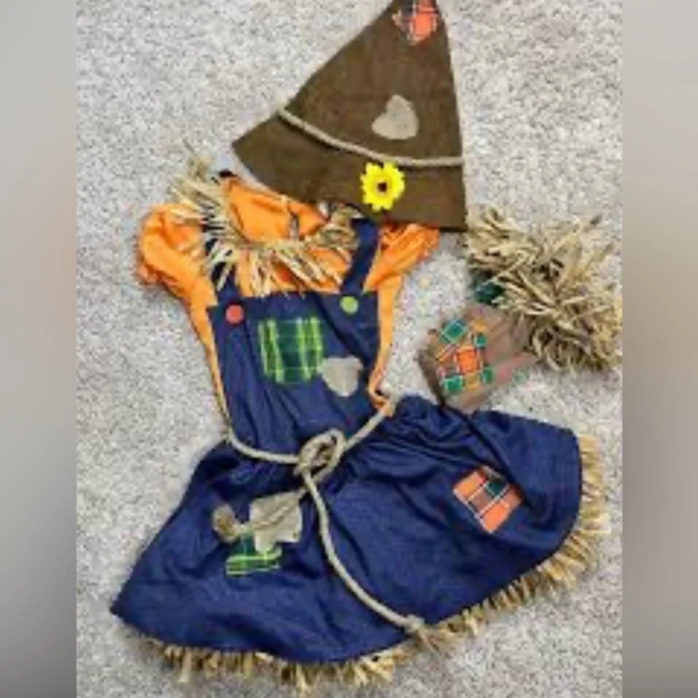 SCARECROW 🍁🐦‍⬛COSTUME size 12-14